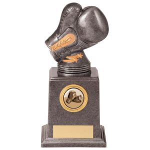 Valiant Legend Boxing Award - Cornish Custom Creations