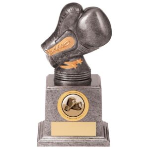 Valiant Legend Boxing Award - Cornish Custom Creations