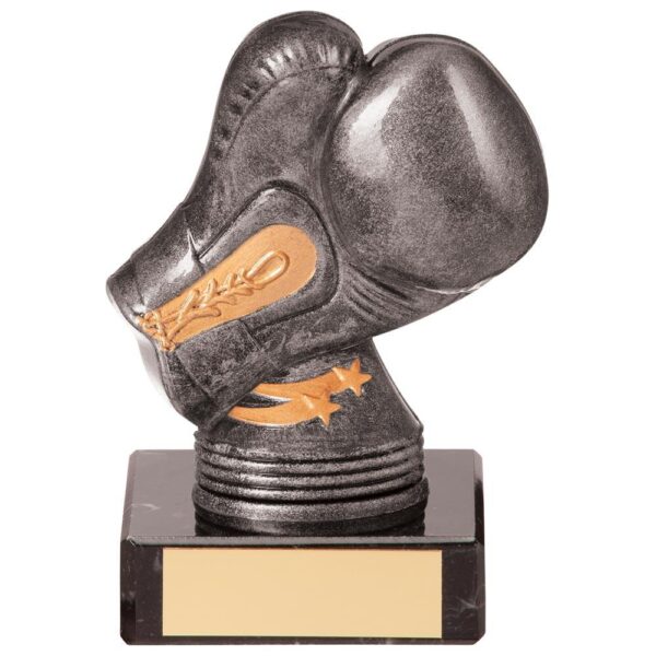 Valiant Legend Boxing Award - Cornish Custom Creations