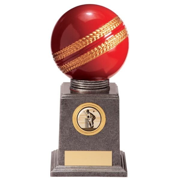 Valiant Legend Cricket Award - Cornish Custom Creations