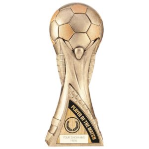 Victory Heavyweight Player of Match Antique Gold - Cornish Custom Creations