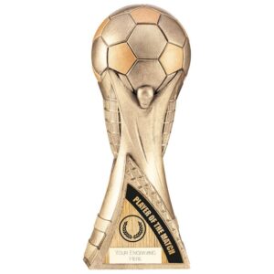 Victory Heavyweight Player of Match Antique Gold - Cornish Custom Creations