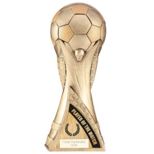 Victory Heavyweight Player of Match Antique Gold - Cornish Custom Creations