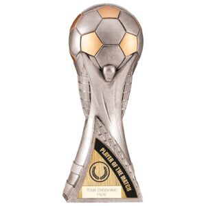 Victory Heavyweight Player of Match Antique Silver - Cornish Custom Creations