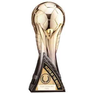 Victory Heavyweight Player of Match Gold/Black - Cornish Custom Creations